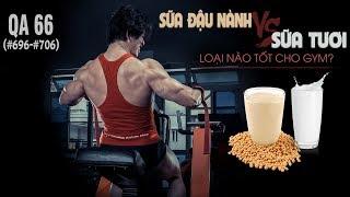 QA 66 - Sữa đậu nành và sữa tươi loại nào tốt cho GYM