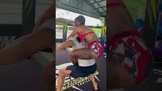 Diary of mma pt.2