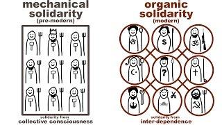 Durkheim's Mechanical and Organic Solidarity: what holds society together?