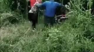 Mesum di semak semak