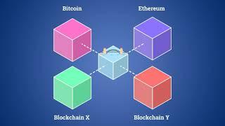 Cryptonomist Academy: blockchain development