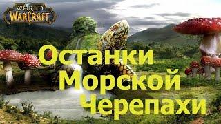 world of warcraft прохождение квеста Beached Sea Turtle / Останки морской черепахи