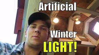 Chicken Coop Artificial Light