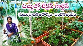 Organic Terrace Garden in Fiber Tubs || Health & Beauty to Home || Kranthi - Uppal || Rythunestham