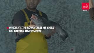 Chile: an atractive destination for foreing direct Investment | Marca Chile