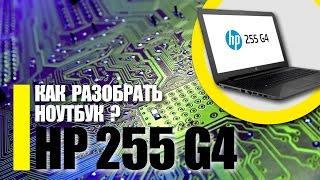 Разборка ноутбука HP 255 G4 / Как ПРАВИЛЬНО разобрать ноутбук HP 250 / Замена оперативки HP 255 G4