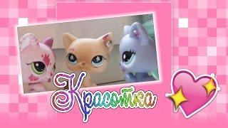 Littlest Pet Shop: Pretty (Episode#1)