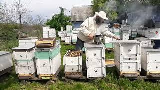 Метод Стоянова. Первое расширение 145-ая рамка восмирамочные.