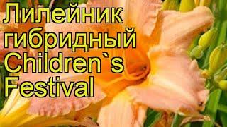 Лилейник гибридный Чилдренс Фестивал. Краткий обзор hemerocallis hybrida Children's Festival