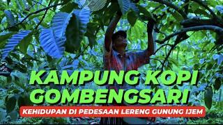 KAMPUNG KOPI GOMBENGSARI I  KEHIDUPAN DI PEDESAAN KAKI  GUNUNG IJEN BANYUWANGI