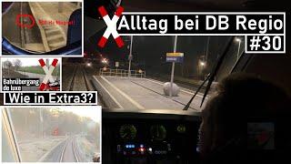 Other everyday life at DB Regio #30 | New railway crossing for the field path, behavior towards p...