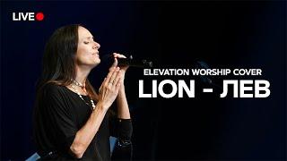 Lion/ Elevation Worship Russian Cover