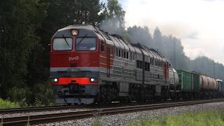 Train videos. Trains on the Tyumen - Tobolsk railway. Russia. Tyumen region. July 2024