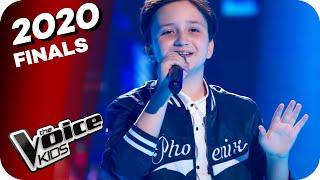 Demi Lovato - Skyscraper (Nikolas) | The Voice Kids 2020 | FINALE