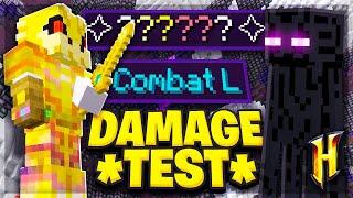 The Combat Level 50 Damage Test! (Hypixel Skyblock)