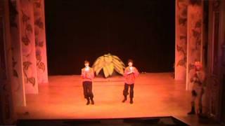 lincoln theatre royal COD panto 2009/2010