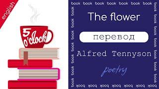 5 o'clock. Английский, поэзия. Перевод, аудирование, shadowing. Альфред Теннисон "Цветок"