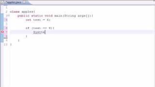 Java Programming Tutorial - 10 - If Statement