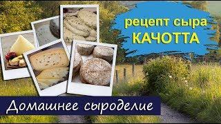 Домашнее сыроделие. Сыр Качотта/Caciotta из Козьего молока.  Подробный рецепт!