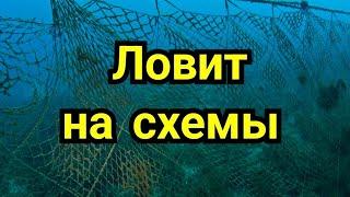 7) Ловит на схемы.                  (  Ботвинник М. )