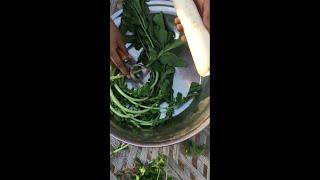 Peeling Radish