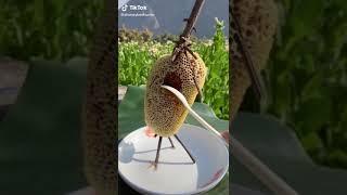 Jashan honey raw honey contact 7888705029