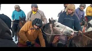 Бузкаши Шурообод д Зулмобод.2 кисм 29 01 22  солм 2500 сом