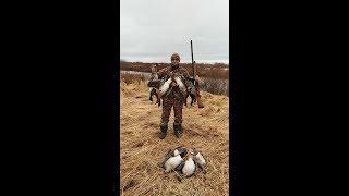 ОХОТА НА ГУСЯ часть 1. Весенняя охота на Севере. Goose Hunting.