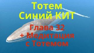 Тотемное животное Синий Кит. Глава 32. + Медитация на соединение с Тотемом. Запись прямого эфира.