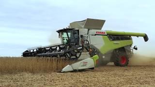 CLAAS LEXION Soybean Quality Tests