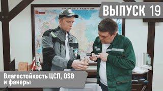 Сравниваем влагостойкость ЦСП, OSB и фанеры