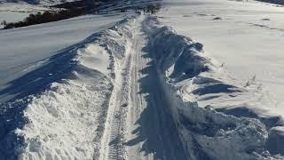 Окрестности дороги на село Ермаковка, ВКО. 25.03.22