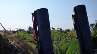 Hunting Wild Pigeon in Hungry with LPA Super Big Dot Front Sight and B&P Mygra Colombaccio cartridge