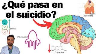 What happens in the brain of someone who commits suicide?