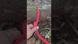 Let's do it simple prince of knot tying #knots #camping #shorts