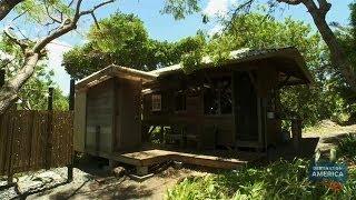 Tree Fort | Buying Hawaii