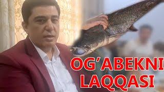 КИРКЙОПДА ОГОБЕК СОБИРОВНИ ОДИНА ЛАККА СУЙИЛДИ