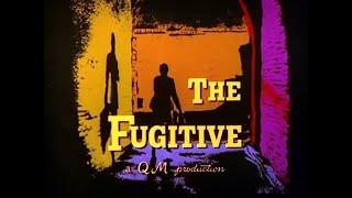 The Fugitive: The Judgment Parts 1 and 2