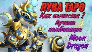 #168ЛУНА ТАРО КАК ВЫВЕСТИ ? ЛУЧШИЕ КОМБИНАЦИИ - Легенды Дракономании Moon Dragon