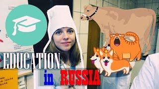 EDUCATION IN RUSSIA for foreigners | STUDYING in RUSSIA - WHAT YOU NEED TO KNOW? Высшее образование