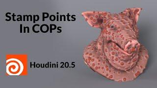 Stamp Points in COPs | Intro to COPs | Houdini 20.5