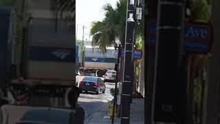 Amtrak #train #railroad #railway #travel #jwrailfan #ge #tampa #amtrak #amtk #yborcity #trains #rail