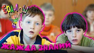 Ералаш | Жажда знаний (Выпуск №217)