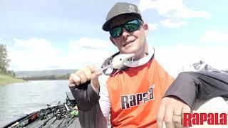 Baits for Australian Bass - The Rapala DT20