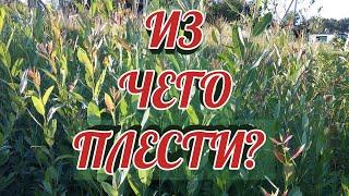 Из чего плести ? Какое сырьё нужно для плетения ?