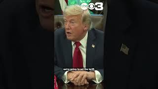President Trump on prospective US deals, tariffs