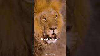 Christopher Walken The Lion Speech