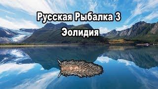 Русская Рыбалка 3 (Russian Fishing). Эолидия (квест "21")