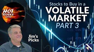 Hot Stocks to Buy in a Volatile Market (Jim's Picks) | VectorVest