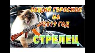 Гороскоп Стрелец на 2019 год 